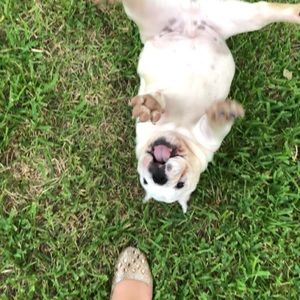 Meet your Posher, Janeth